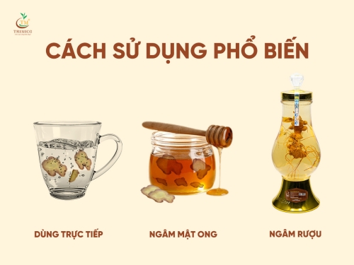 Cách dùng sâm Ngọc Linh đúng: Để sâm quý thật sự phát huy tác dụng